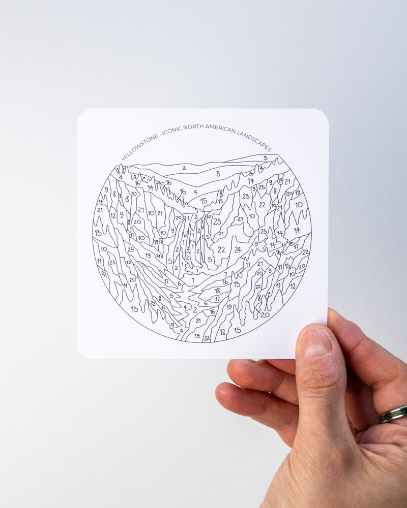 printed colour card